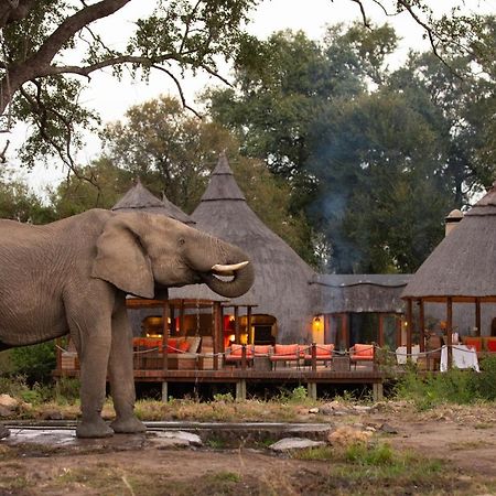 Hoyo Hoyo Safari Lodge Mluwati Concession Exteriör bild