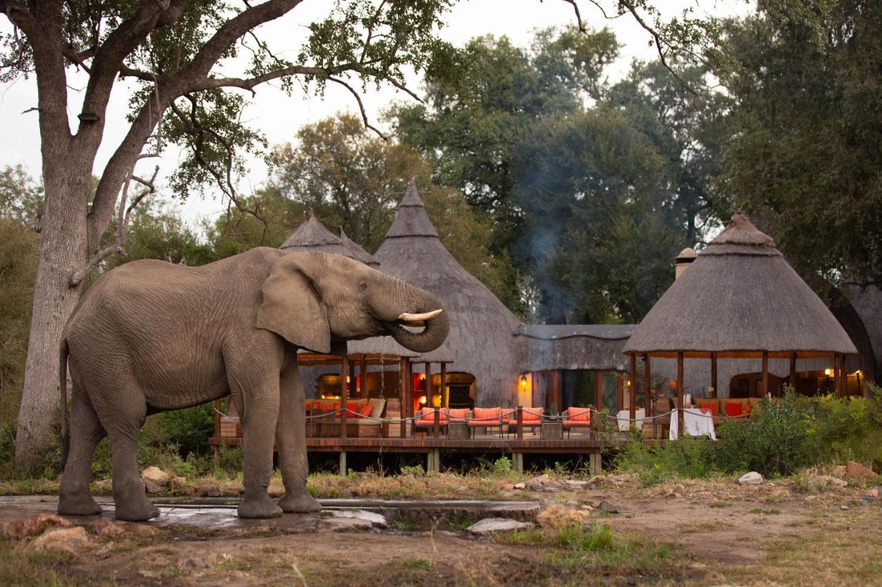 Hoyo Hoyo Safari Lodge Mluwati Concession Exteriör bild