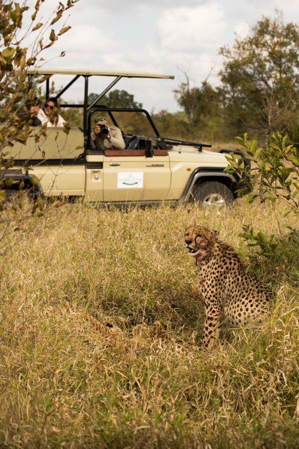 Hoyo Hoyo Safari Lodge Mluwati Concession Exteriör bild